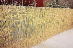 1.8m X 4m Split Natural Peeled Reed Screening Fencing Panel Bamboo Fence Roll Garden -Cheap Grow And Trim Store 1 8m x 4m split natural peeled reed screening fencing panel bamboo fence roll garden8702815297768 04c MP