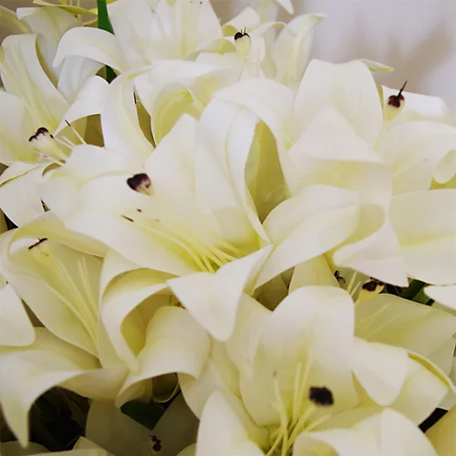 Leaf 12 X 60cm Artificial Lily Stem White (144 Flowers) 4 Leaf 12 X 60cm Artificial Lily Stem White (144 Flowers) - Image 4