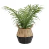 20cm Palm Artificial Plant In Natural Wicker Basket