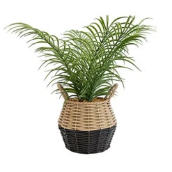 20cm Palm Artificial Plant In Natural Wicker Basket