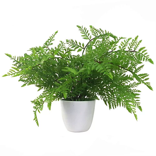 Leaf 30cm Artificial Potted Southern Wood Fern 1 Leaf 30cm Artificial Potted Southern Wood Fern
