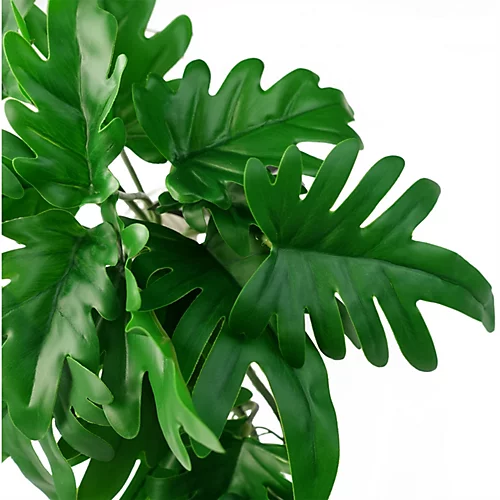 50cm Artificial Trailing Philodendron Large Leaf Plant 2 50cm Artificial Trailing Philodendron Large Leaf Plant - Image 2