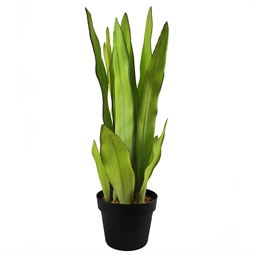 Leaf 70cm Artificial Sansevieria Moonshine Plant 1 Leaf 70cm Artificial Sansevieria Moonshine Plant