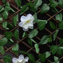 Apollo Apple Leaf Willow Trellis Panel (W)200cm X (H)100cm -Cheap Grow And Trim Store apollo apple leaf willow trellis panel w 200cm x h 100cm5037653779279 01i bq