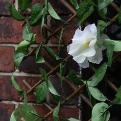 Apollo Apple Leaf Willow Trellis Panel (W)200cm X (H)100cm -Cheap Grow And Trim Store apollo apple leaf willow trellis panel w 200cm x h 100cm5037653779279 02i bq