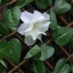 Apollo Apple Leaf Willow Trellis Panel (W)200cm X (H)100cm -Cheap Grow And Trim Store apollo apple leaf willow trellis panel w 200cm x h 100cm5037653779279 03i bq