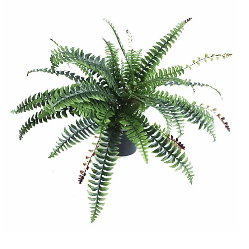 Leaf Artificial Boston Fern Plant - 60cm Boston Fern 1 Leaf Artificial Boston Fern Plant - 60cm Boston Fern