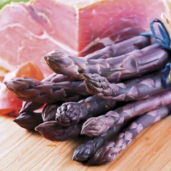 Asparagus Pacific Purple Bare Root Crowns - Grow Your Own Bareroot, Fresh Vegetable Plants, Ideal For UK Gardens (10 Pack) -Cheap Grow And Trim Store asparagus pacific purple bare root crowns grow your own bareroot fresh vegetable plants ideal for uk gardens 10 pack 5059442056088 03c MP