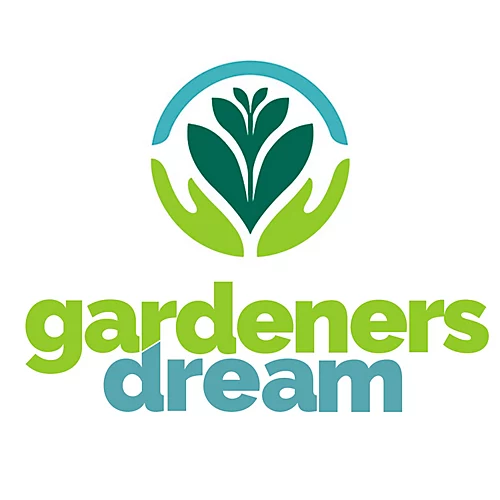 Azalea Bi-Colour Patio Tree - Eye-catching Flowering Tree For UK Patio Gardens - Outdoor Plant (2-3ft) 4 Azalea Bi-Colour Patio Tree - Eye-catching Flowering Tree For UK Patio Gardens - Outdoor Plant (2-3ft) - Image 4