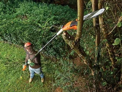 Black & Decker PS7525-GB PS7525 Corded Pole Saw 25cm Bar 800W 240V B/DPS7525 -Cheap Grow And Trim Store black decker ps7525 gb ps7525 corded pole saw 25cm bar 800w 240v b dps75255035048554098 04c MP