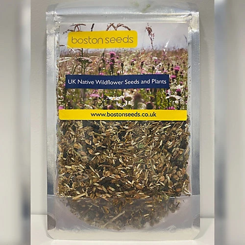 Cornfield Annual Wildflower Seed BS9P 100% (250 G) 3 Cornfield Annual Wildflower Seed BS9P 100% (250 G) - Image 3