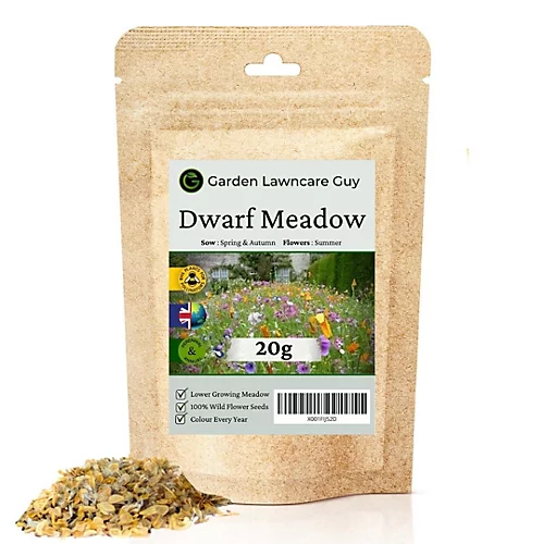 Dwarf Meadow Wildflowers 20g (10m²) 1 Dwarf Meadow Wildflowers 20g (10m²)