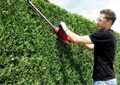 Einhell Electric Hedge Trimmer - 18 Inch (46cm) - Lightweight Design With Blade Cover - 10m Cord, Cable Strain Relief - GH-EH 4245 -Cheap Grow And Trim Store einhell electric hedge trimmer 18 inch 46cm lightweight design with blade cover 10m cord cable strain relief gh eh 42454006825585049 02c MP
