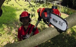 Einhell Power X-Change Cordless Pole Mounted Pruner - Up To 2.77 Metres High Reach Pole Saw - Body Only - GE-LC 18 Li T-Solo 5 Einhell Power X-Change Cordless Pole Mounted Pruner - Up To 2.77 Metres High Reach Pole Saw - Body Only - GE-LC 18 Li T-Solo -Cheap Grow And Trim Store einhell power x change cordless pole mounted pruner up to 2 77 metres high reach pole saw body only ge lc 18 li t solo4006825604337 02c MP