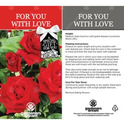For You With Love Red Rose - Outdoor Plant, Ideal For Gardens, Compact Size -Cheap Grow And Trim Store for you with love red rose outdoor plant ideal for gardens compact size5051641538730 03c MP
