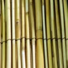 Garden Reed / Read Screening 1m X 3m (325mm)
