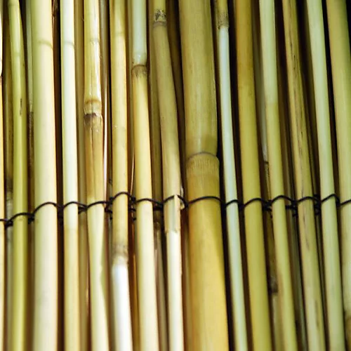 Garden Reed / Read Screening 1m X 3m (325mm) 1 Garden Reed / Read Screening 1m X 3m (325mm)