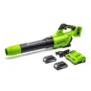 Greenworks Tools 48V (2 X 24V) Axial Blower Includes 2 X 2Ah Batteries & Charger