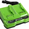 Greenworks Tools G24X2UC2 Twin Port Battery Charger 24V 48W Output Suitable For 24V Greenworks Batteries