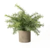 Hill Interiors Rosemary Stone Effect Artificial Plant Green (24cm X 24cm X 24cm)