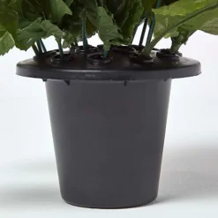 Homescapes Artificial Red Poppy Flower Arrangement In Grave Pot 6 Homescapes Artificial Red Poppy Flower Arrangement In Grave Pot -Cheap Grow And Trim Store homescapes artificial red poppy flower arrangement in grave pot5055967485846 03c MP