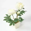 Homescapes Cream Artificial Peonies In Decorative Cream Pot, 48 Cm Tall