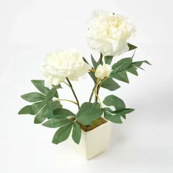 Homescapes Cream Artificial Peonies In Decorative Cream Pot, 48 Cm Tall