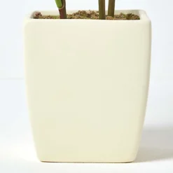 Homescapes Cream Artificial Peonies In Decorative Cream Pot, 48 Cm Tall -Cheap Grow And Trim Store homescapes cream artificial peonies in decorative cream pot 48 cm tall5055967490451 04c MP