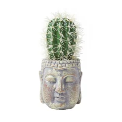Homescapes Echioncactus Artificial Cactus In Decorative Buddha Head Stone Pot, 24 Cm Tall