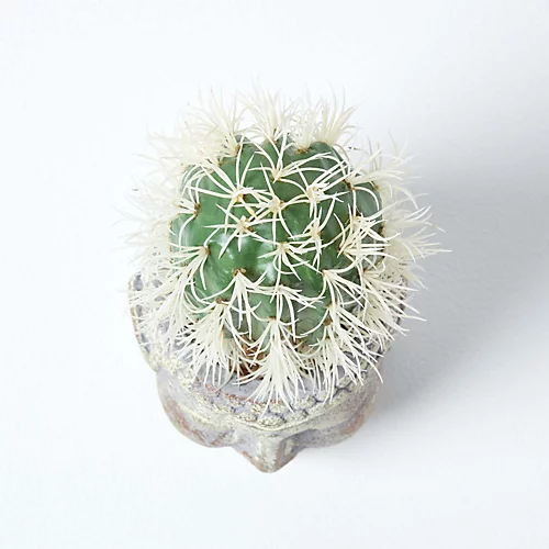Homescapes Echioncactus Artificial Cactus In Decorative Buddha Head Stone Pot, 24 Cm Tall 2 Homescapes Echioncactus Artificial Cactus In Decorative Buddha Head Stone Pot, 24 Cm Tall - Image 2