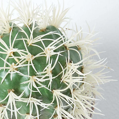 Homescapes Echioncactus Artificial Cactus In Decorative Buddha Head Stone Pot, 24 Cm Tall 4 Homescapes Echioncactus Artificial Cactus In Decorative Buddha Head Stone Pot, 24 Cm Tall - Image 4