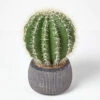 Homescapes Golden Barrel Artificial Cactus In Textured Stone Grey Pot, 38 Cm Tall