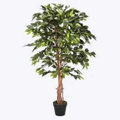 Homescapes Green Ficus Tree Artificial Plant With Twisted Real Wood Stem, 4 Ft