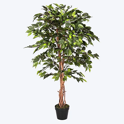 Homescapes Green Ficus Tree Artificial Plant With Twisted Real Wood Stem, 4 Ft 1 Homescapes Green Ficus Tree Artificial Plant With Twisted Real Wood Stem, 4 Ft