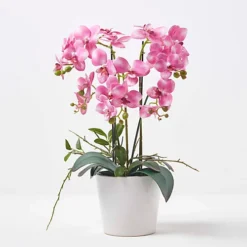 Homescapes Pink Orchid 54 Cm Phalaenopsis In Ceramic Pot Extra Large, 5 Stems