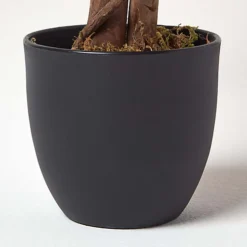 Homescapes Red And Green Artificial Capensia Tree With Real Wood Trunk, 4 Ft -Cheap Grow And Trim Store homescapes red and green artificial capensia tree with real wood trunk 4 ft5060422530696 03c MP