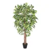 Homescapes Variegated Green Ficus Tree Artificial Plant With Twisted Trunk, 6 Ft
