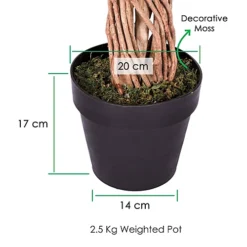 Homescapes Variegated Green Ficus Tree Artificial Plant With Twisted Trunk, 6 Ft -Cheap Grow And Trim Store homescapes variegated green ficus tree artificial plant with twisted trunk 6 ft5055967421424 03c MP