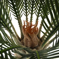 Livingandhome Artificial Cycas Tree Indoor Decorative Plant In Black Pot 82 Cm -Cheap Grow And Trim Store livingandhome artificial cycas tree indoor decorative plant in black pot 82 cm0735940260664 04c MP