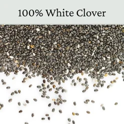 Micro Clover Seed For Lawn UK - 100% Small Leaf White Clover - Over Seeding Or New Areas - 100g Pack Covers 10-20m² -Cheap Grow And Trim Store micro clover seed for lawn uk 100 small leaf white clover over seeding or new areas 100g pack covers 10 20m 5065007977958 04c MP