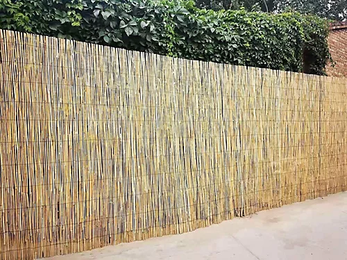 Natural Peeled Reed Screening Roll Garden Screen Fence Fencing Panel H 1.5m X W 4m 3 Natural Peeled Reed Screening Roll Garden Screen Fence Fencing Panel H 1.5m X W 4m - Image 3