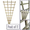 Premier Garden 2x Wooden Fan Trellis Wall/Fence Lattice Wide: 3ft (90cm) X High: 6ft (180cm) Flat Top Standard Climbing Plant Vine