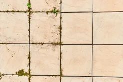 Ryobi ONE+ Patio Cleaner With Wire Brush 18V RY18PCA-120 2.0Ah Kit 7 Ryobi ONE+ Patio Cleaner With Wire Brush 18V RY18PCA-120 2.0Ah Kit -Cheap Grow And Trim Store ryobi one patio cleaner with wire brush 18v ry18pca 120 2 0ah kit4892210197177 04c MP