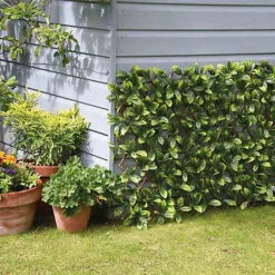 Smart Garden 60cm X 180cm Expanding Lemon Leaf Trellis Wheelie Bin Screen 6 Smart Garden 60cm X 180cm Expanding Lemon Leaf Trellis Wheelie Bin Screen -Cheap Grow And Trim Store smart garden 60cm x 180cm expanding lemon leaf trellis wheelie bin screen5050642020145 03c MP
