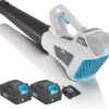 Swift 40 V Lightweight Axial Leaf Blower-Inclued 2x Batteries And Charger