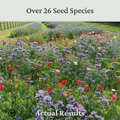 The Bees Knees Wildflowers 20g (10m²) -Cheap Grow And Trim Store the bees knees wildflowers 20g 10m 5065007977033 02c MP
