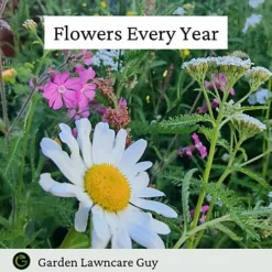 UK Native Wild Flower Mix 20g (10m²) -Cheap Grow And Trim Store uk native wild flower mix 20g 10m 5065007977477 03c MP